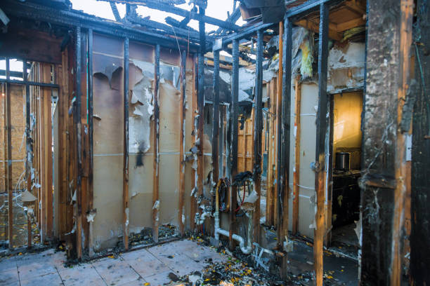Professional Odor Removal technician working in Harris, MN