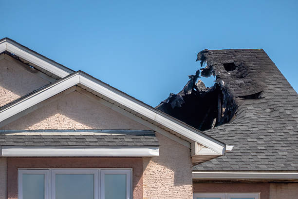 Top rated local Odor Removal specialists in Harris, MN